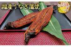 国産うなぎ蒲焼　Aセット [№5990-0582]