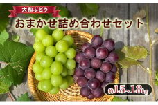 【大和ぶどう】おまかせ詰め合わせセット [№5990-0591]