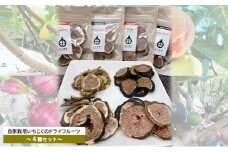 自家栽培いちじくのドライフルーツ～食べ比べ４種セット～ [№5990-0681]