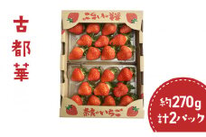 イチゴ古都華(約270ｇ)計2パック[№5990-0714]