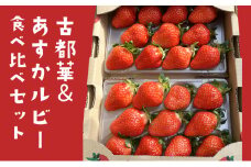 イチゴ古都華＆あすかルビー食べ比べセット[№5990-0715]