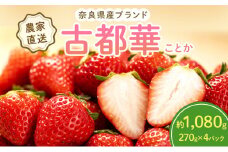 【先行予約】いちご 奈良県産 古都華 約1,080g(270g× 4パック ) セット 高評価 フルーツ 果物 旬 産地直送 農家直送 完熟 旬のフルーツ 旬の果物 お取り寄せ おやつ デザート ことか イチゴ 苺 冷蔵 冷蔵配送 奈良 大和郡山市[№5990-0760]