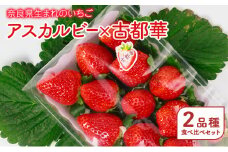奈良県生まれのいちご アスカルビー×古都華　2品種食べ比べセット 果物 フルーツ いちご 苺 イチゴ ストロベリー アスカルビー 古都華 おやつ 食べ比べ お取り寄せ セット 大和郡山市 [№5990-0843]