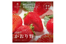 【先行予約】いちご 風味豊かないちご かおり野 1箱(9粒～12粒) 苺 イチゴ くだもの 果物 フルーツ 甘い 大和郡山市 奈良県 [№5990-0844]