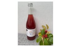 郡山城ものがたり(ワイン) スパークリングワイン 750ml 大和郡山市 奈良 [№5990-0849]