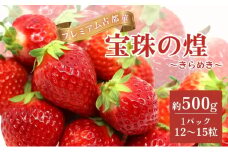 【先行予約】奈良県　佃農園　プレミアム古都華【宝珠の煌（きらめき）】 [№5990-0859]