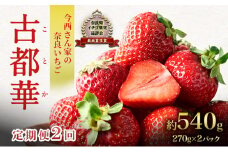 【先行予約】【定期便 2回】今西さん家の奈良いちご いちご 古都華 約540g(270g× 2パック )[№5990-0887]