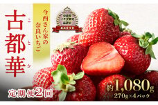 【先行予約】【定期便 2回】今西さん家の奈良いちご いちご 古都華 約1,080g(270g×4パック )[№5990-0888]