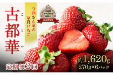 【先行予約】【定期便 2回】今西さん家の奈良いちご いちご 古都華 (270g×6パック )[№5990-0889]