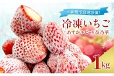 -40度で急速冷凍！ 冷凍いちご 1kg ( あすかルビー & 奈乃華 )[№5990-0923]