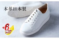 レザースニーカー 本革 メンズ 牛革スムース カジュアル 紳士靴 日本製 ローカット 外羽根 紐 レースアップ メンズシューズ No.831 ホワイト 24.5cm [№5990-4092]