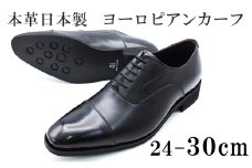 ビジネスシューズ 革靴 メンズ ヨーロピアンカーフ 本革 紳士靴 日本製 ストレートチップ 内羽根 紐 レースアップ 牛革 メンズシューズ No.CA1010 ブラック 29.0cm [№5990-4108]
