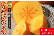 ＜R7年10月以降発送＞刀根早生柿発祥の地・天理市のひらたねなし柿(L～3Lサイズ、28～36個)_ 柿 かき 種なし柿 フルーツ くだもの 果物 人気 おすすめ 送料無料 贈答 ギフト プレゼント 刀根 早生柿 奈良県 天理市 【1070571】