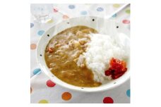 天理カレー　あまくち10個セット【1070776】