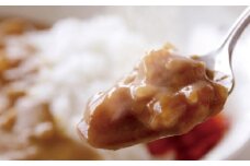 天理カレー　辛口　10個セット【1070778】