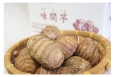味間芋　3kg 【1071474】