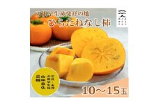 ＜R7年10月以降発送＞刀根早生柿発祥の地・ひらたねなし柿(10～15玉入り)【1085761】