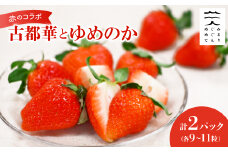 赤のコラボ「古都華」と「ゆめのか」(それぞれ9粒～11粒)【1097359】