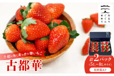 古都に咲く真っ赤な華いちご「古都華」(270g以上/5L～4Lサイズ/6～8粒)×2P　化粧箱入り【1102951】