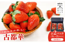 古都に咲く真っ赤な華いちご「古都華」(270g以上/3L～2Lサイズ/9～11粒)×2P　化粧箱入り【1102952】