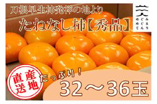 ＜R7年10月以降発送＞刀根早生柿発祥の地より「たねなし柿」L～2L(32～36玉)＜秀品＞【1138161】
