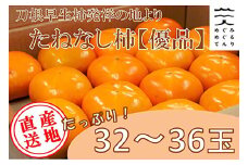 ＜R7年10月以降発送＞刀根早生柿発祥の地より「たねなし柿」L～2L(32～36玉)＜優品＞ご家庭用【1138162】