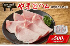 ゴールド・シー食品やまとハム切り落としセット(100g×5パック)【1284833】