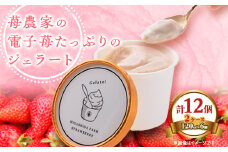 苺農家の電子苺たっぷりのジェラート　12個(6個入り2ケース)【1310725】