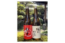 天理の地酒　黒松稲天　日本酒飲み比べ2本セット【1353799】
