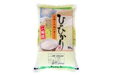 2023年3月発送開始『定期便』ひのひかり精米10kg＜令和4年産＞(一等米)全4回【5087163】
