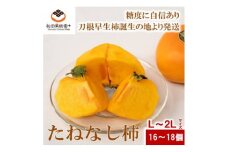 ＜R5年10月下旬～発送＞種なし柿　L・2L　18～16個【1385413】