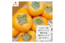 ＜令和7年10月下旬から発送＞たねなし柿L～2Lサイズ(16～18個入り)【1410559】