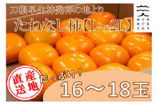 ＜令和7年10月以降発送予定＞刀根早生柿発祥の地※より「たねなし柿」L~2L(1段箱16～18玉)【1434467】