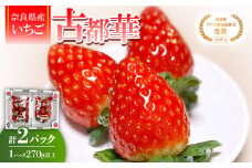 ＜2025年12月下旬順次発送＞奈良県産いちご「古都華」2パック【1556700】