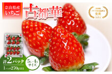 ＜2025年12月下旬順次発送＞《希少品》奈良県産いちご「古都華」大粒(5L～4Lサイズ )2パック【1556701】