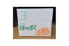 八朔10kgご家庭用【1601386】