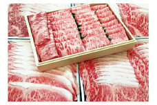 バイヤー厳選「国牛十図」の銘牛・大和牛（やまとうし）（牝牛）すき焼き用700g（ロースまたは肩ロース）
