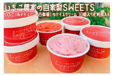 いちご農家の自家製SWEETS いちご（あすかルビー・古都華）のアイスクリーム 10個入（化粧箱入）〇