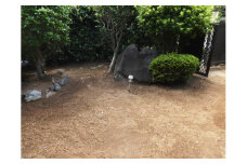 住宅の除草作業