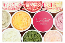 いちご農家の自家製SWEETS いちごと季節の野菜・フルーツのアイスクリーム 家庭用アソート 12個入