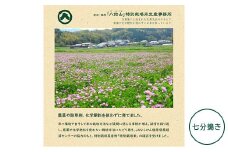 【新米】奈良・橿原　農薬や化学肥料不使用【令和7年産】ヒノヒカリ【七分搗き】約5kg（5kg×1袋）※2025年10月下旬～11月上旬頃に順次発送予定