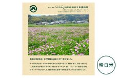 【新米】奈良・橿原　農薬や化学肥料不使用【令和7年産】ヒノヒカリ【精白米】約5kg（5kg×1袋）※2025年10月下旬～11月上旬頃に順次発送予定