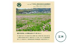 【新米】奈良・橿原　農薬や化学肥料不使用【令和7年産】ヒノヒカリ【玄米】約5kg（5kg×1袋）※2025年10月下旬～11月上旬頃に順次発送予定