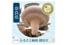 橿原市産 採れたての生しいたけ（菌床） 約700g箱（5～10枚程度）×2箱を発送します ※2024年11月上旬頃～2025年3月下旬頃に順次発送予定