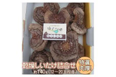 特選肉厚乾燥しいたけ詰合せ｜乾燥 椎茸 しいたけ 肉厚 ※2024年10月下旬頃～2025年2月下旬頃に順次発送予定