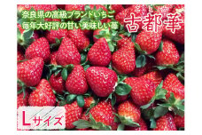 おかげさまで20周年 毎年大好評の甘い美味しい苺（レギュラーパックLサイズ）（古都華（ことか））◇
※発送前電話連絡あり
※発送時期指定不可
※北海道・沖縄・離島への配送不可