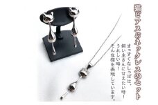 猫ピアス＆ネックレスのセット
≪アクセサリー ピアス ネックレス 猫≫
※着日指定不可