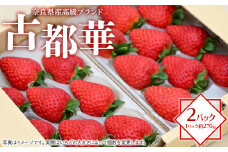 奈良県産高級ブランド　古都華 約270g×2パック ※2026年1月中旬頃より順次発送予定