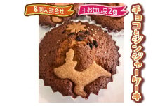 チョコとジンジャーケーキ8個入詰合せ＋お試し品2個 ※着日指定不可