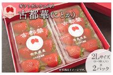 【奈良県知事賞受賞】ギフトボックス入り古都華（ことか）2Lサイズ（8～9粒入り）×2パック｜とのあさイチゴ農園 ※2025年1月中旬～5月上旬頃に順次発送予定